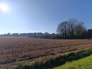  Maison  vendre 1 pice 660 m