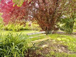  Maison � vendre 8 pi�ces 313 m�