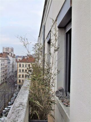  Appartement à louer 1 pièce 12 m²