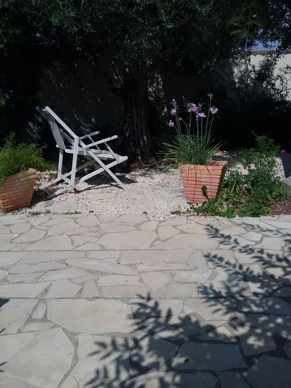 Location Appartement Chambre de 16m2 à louer sur Montpellier Montpellier