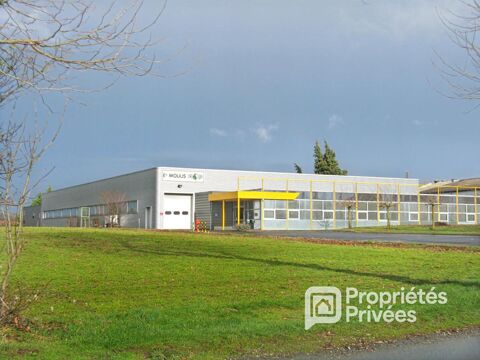 MONTREDON LABESSONNIE - Local d'activit&eacute;, Entrep&ocirc;t industriel 1 200 m&sup2; 325000 81360 Montredon labessonnie