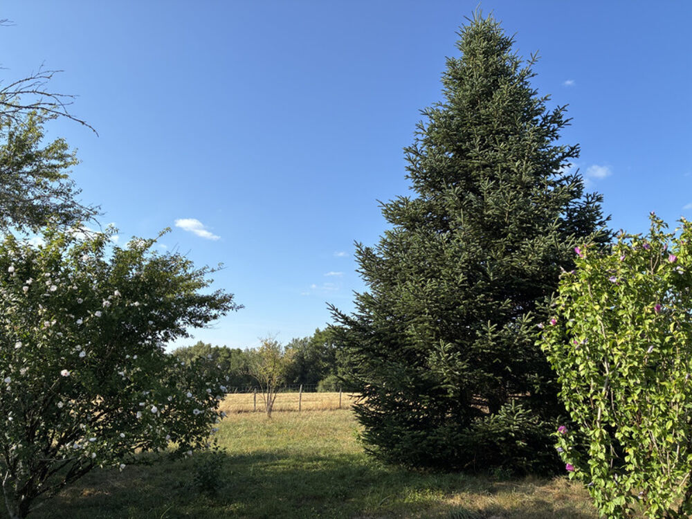 Vente Terrain Très beau terrain de 1 842 m² CLERAC Clerac