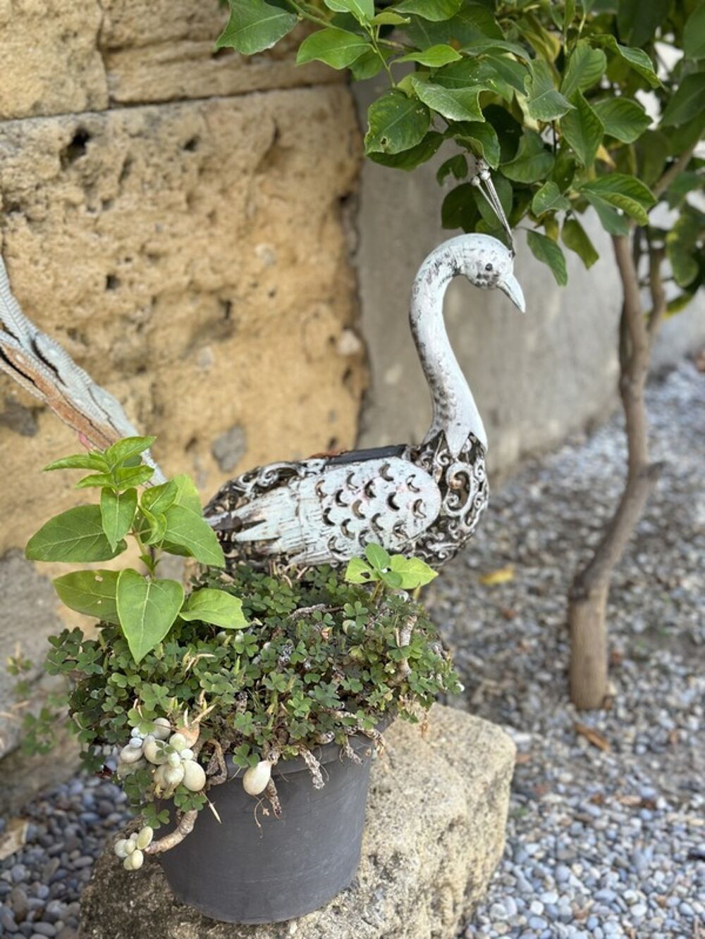  vendre  Maison Salon-de-Provence (13300)