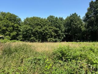  Terrain à vendre 3250 m²