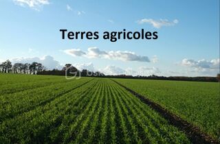  Terrain à vendre 100000 m²