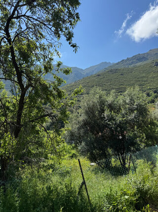  Terrain à vendre 623 m²