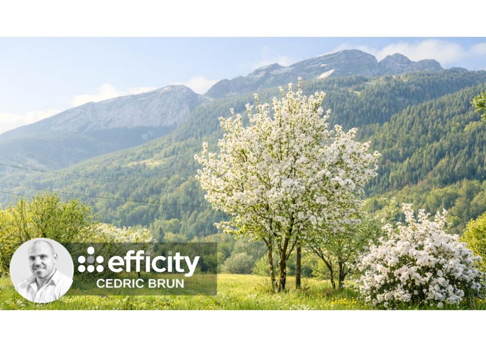 Vente Terrain Terrain Brizon