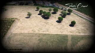  Terrain � vendre 1011 m�