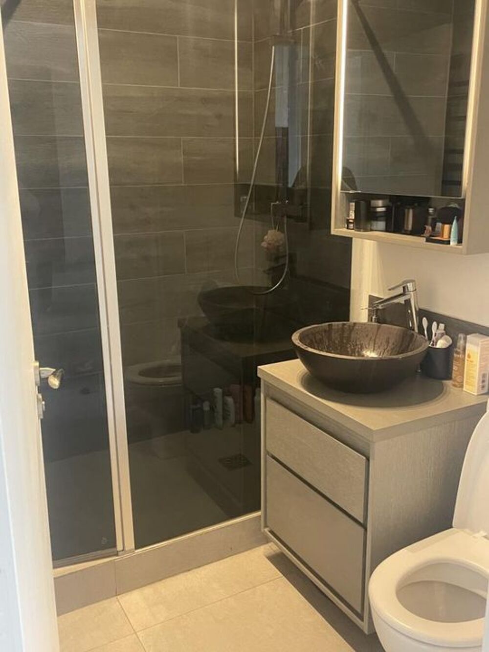 Location Appartement Appartement de 43m2 à louer sur Charenton-le-Pont Charenton le pont