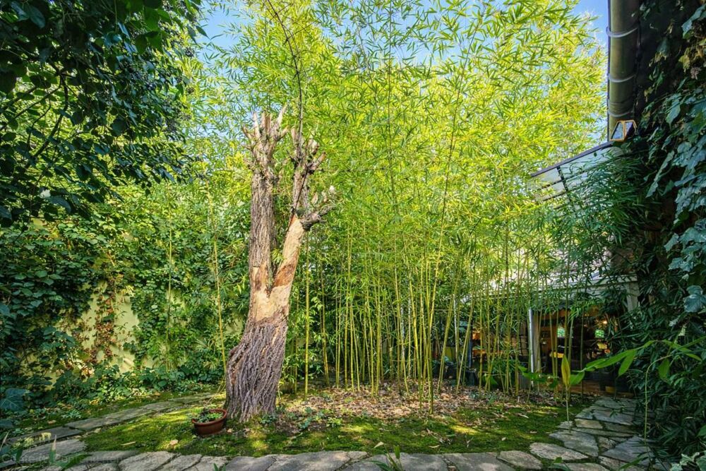 Vente Maison Pavillon Antony