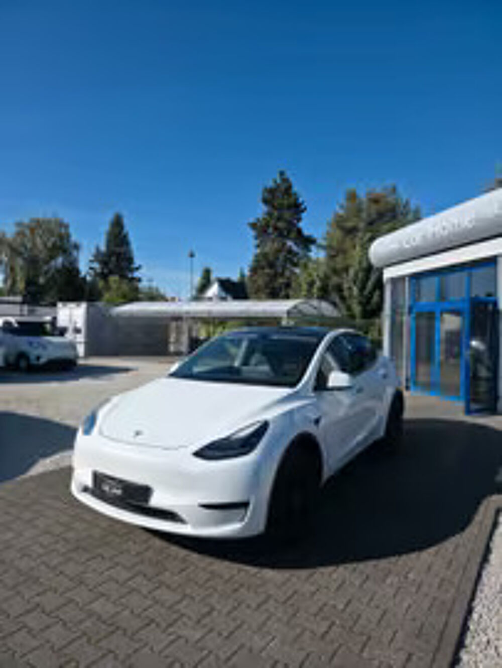 Model Y Standard RWD 2024 occasion 33000 Bordeaux
