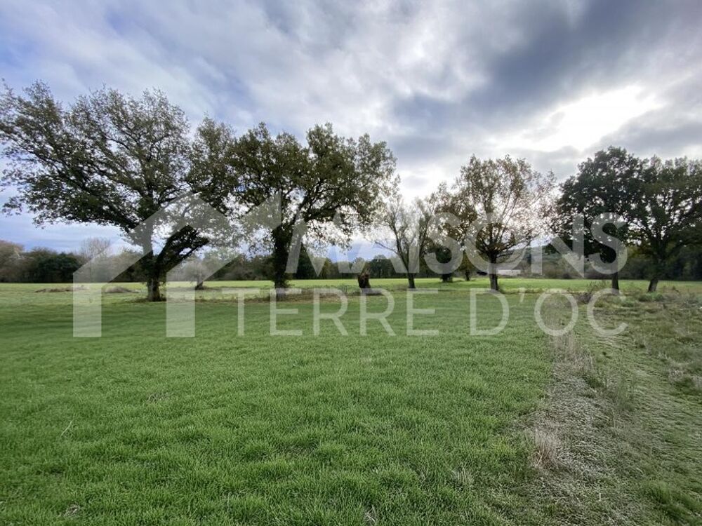 Vente Terrain Terrain � b�tir � Vielmur Sur Agout Vielmur sur agout