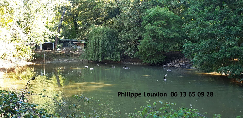  vendre  Proprit/chteau Monsgur (33580)