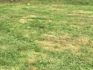  Terrain � vendre 635 m�