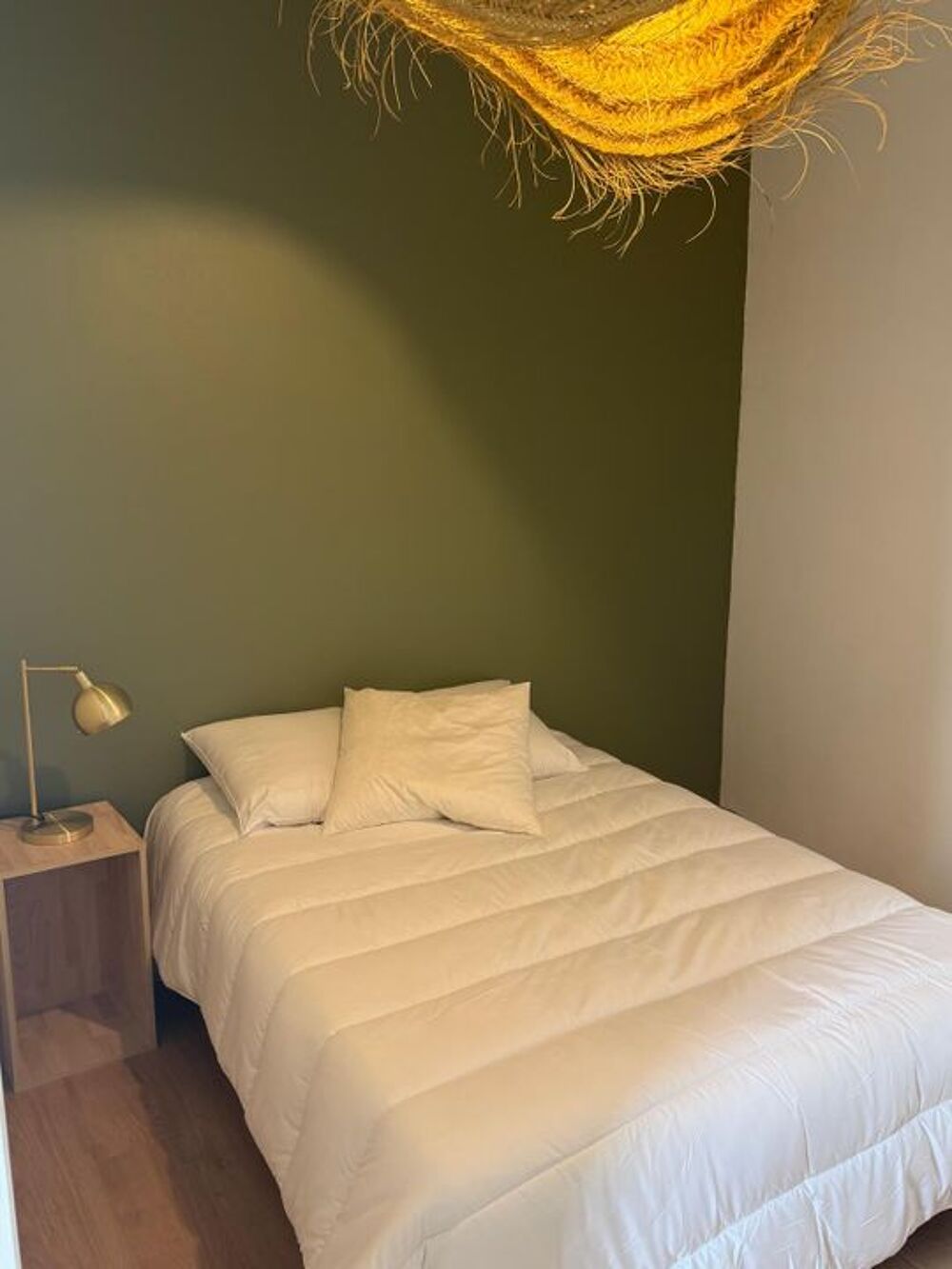 Location Appartement Appartement de 41m2 à louer sur Albi Albi