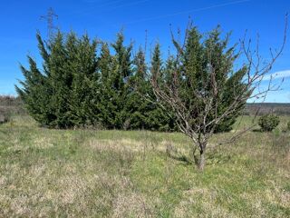  Terrain � vendre 2600 m�