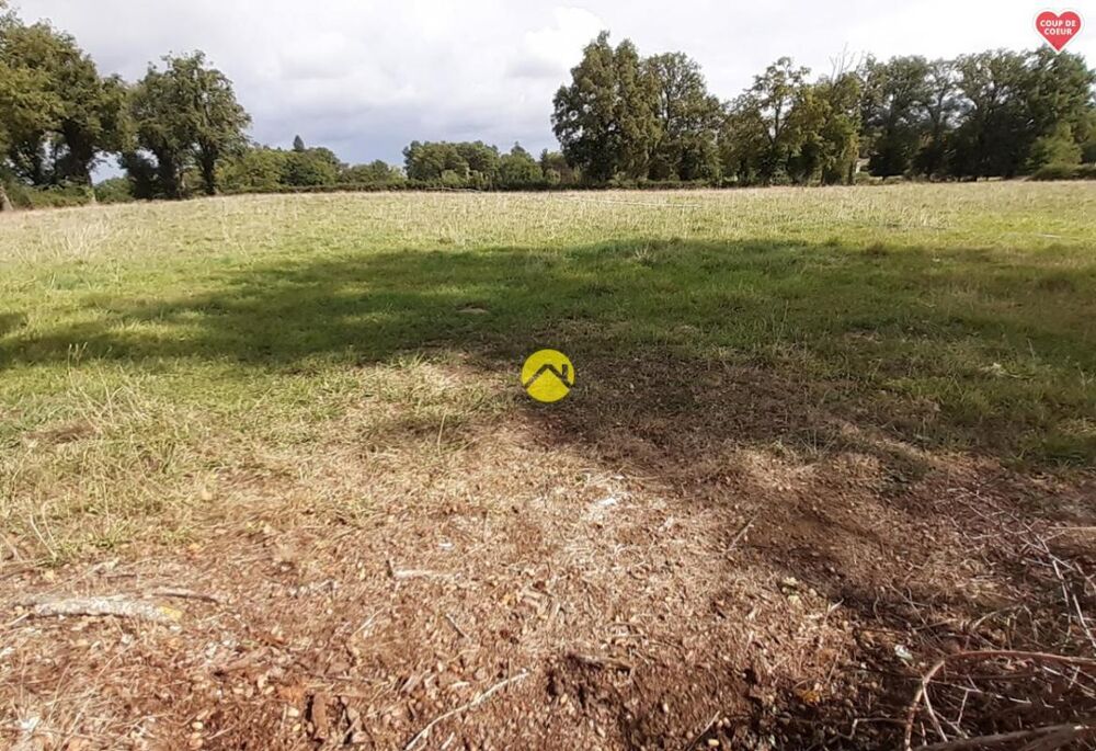 Vente Terrain BEAU TERRAIN 6280 M² Saint martinien