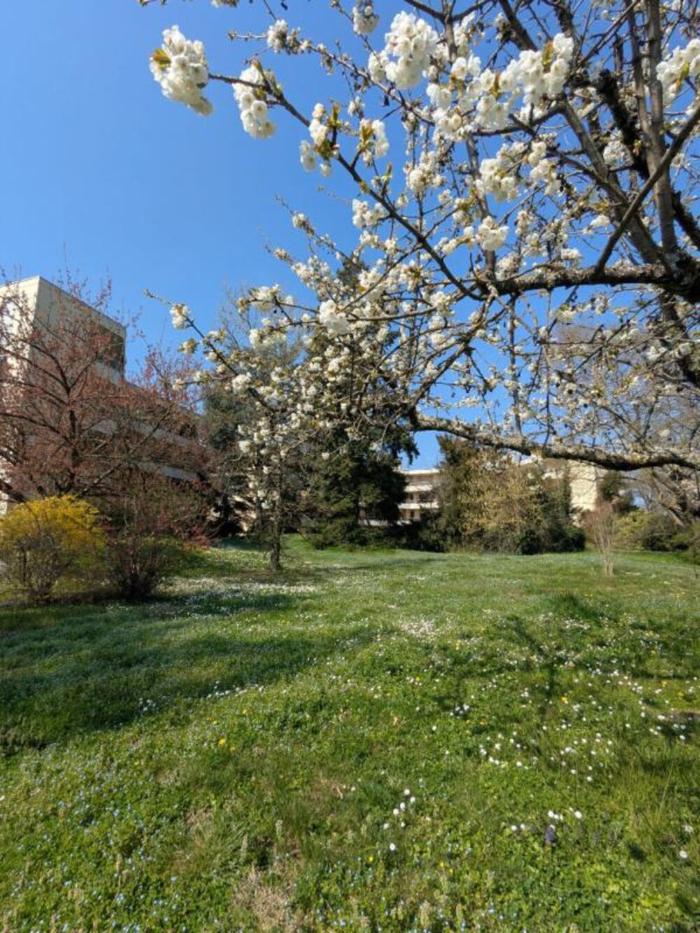 Appartement rez-de-jardin àTassin La Demi Lune 4 pièce(s) 92.89 m2