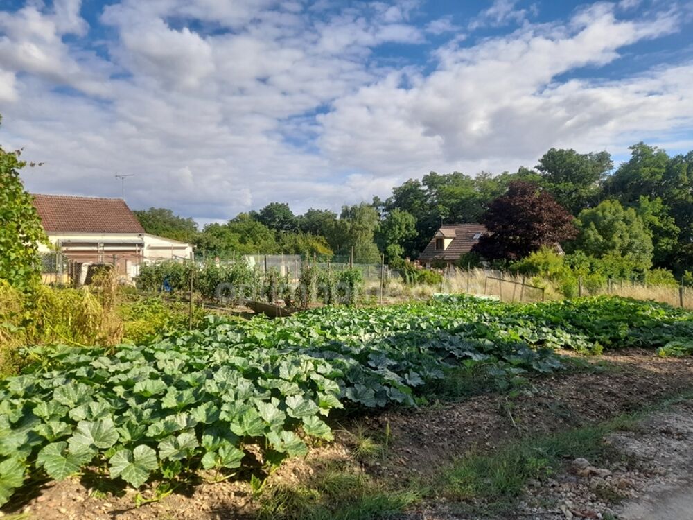 Vente Terrain En exclusivité beau Terrain de 1070m2 à vendre  à AMILLY  (45) Amilly