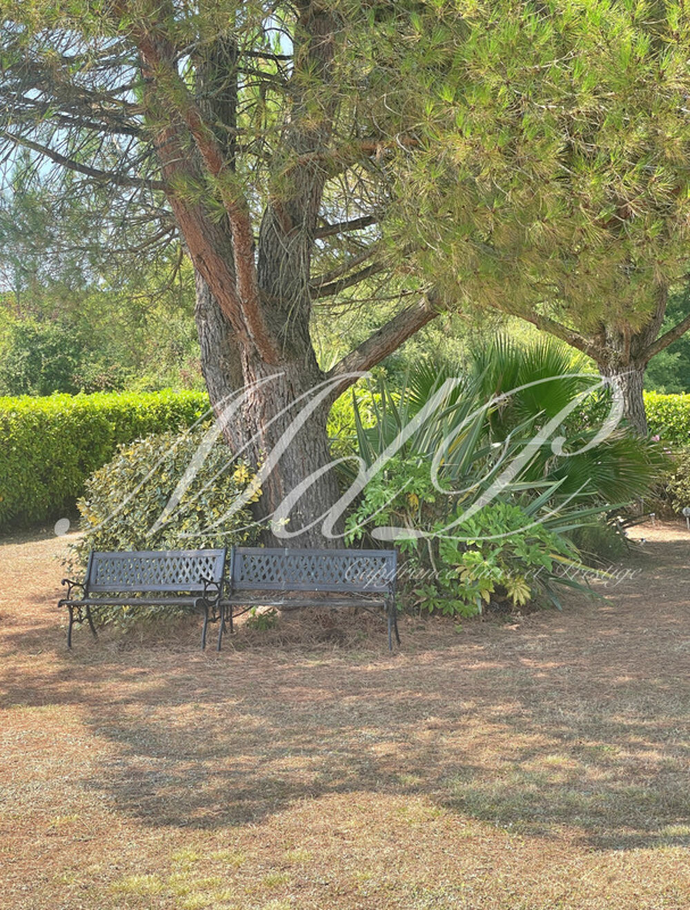 à vendre  Maison Ligueux (33220)