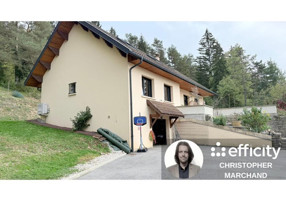 à vendre  Villa Saint-Martin-du-Frêne (01430)