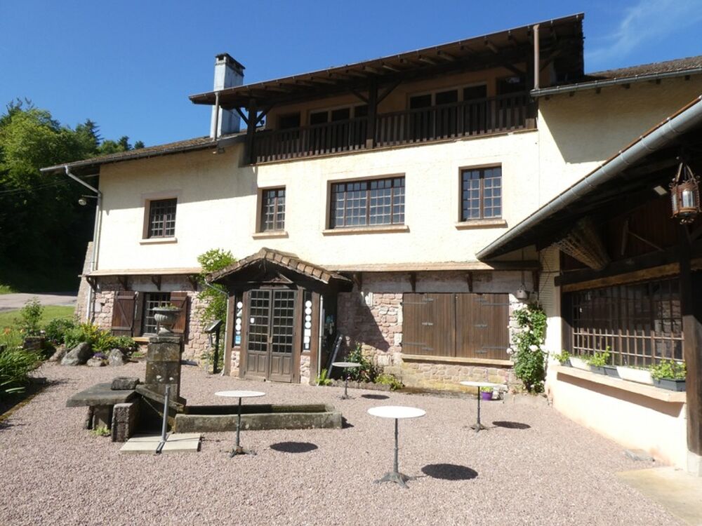 Vente Propriété/Château GIRMONT VAL D'AJOL (88) établissement à vendre de 3000m² au sol , mêlant dance et restauration.Terrain 25000m² Girmont val d ajol
