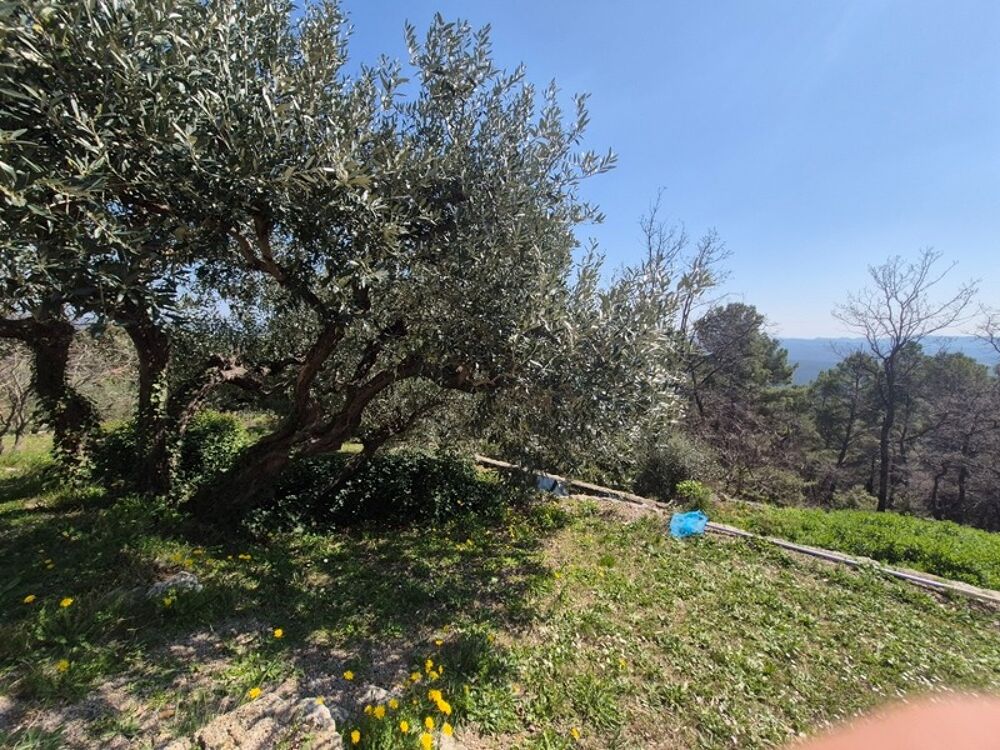 à vendre  Maison Seillans (83440)