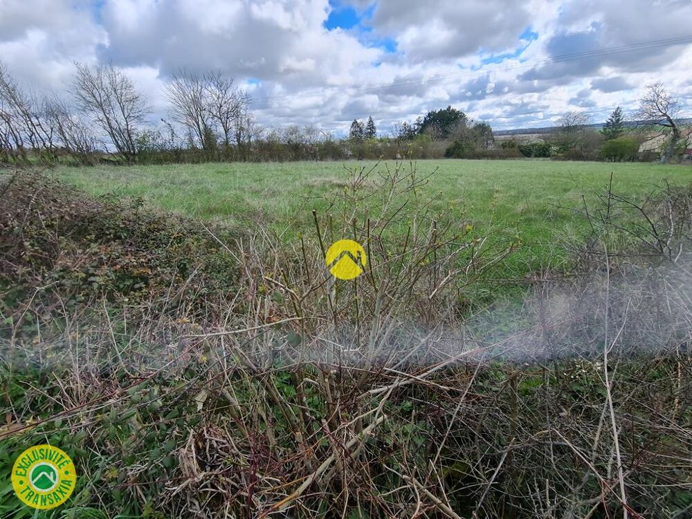 Vente Terrain terrain à bâtir 3579M² Nerondes