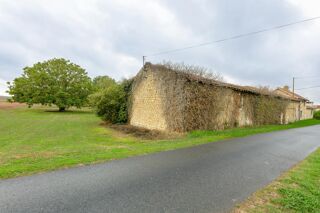 Vente Propriété/Château Projet de rénovation - Authentique bâtisse en pierre à réinventer Ceaux en loudun