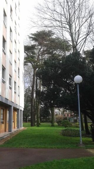  Appartement � louer 1 pi�ce 17 m�