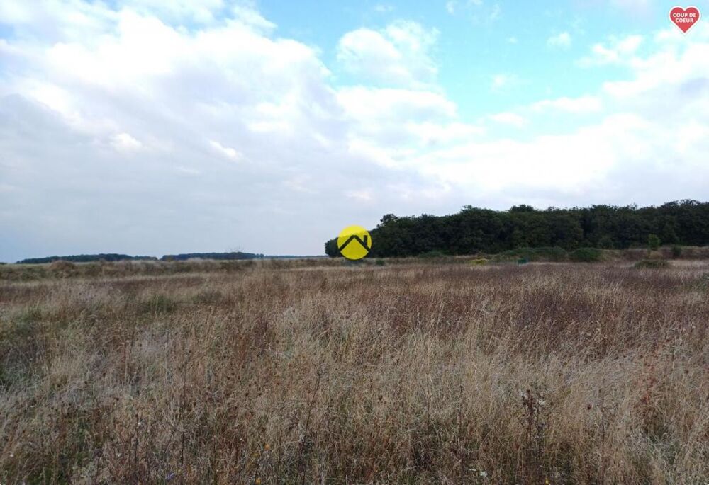 Vente Terrain TERRAIN CONSTRUCTIBLE Saint florent sur cher