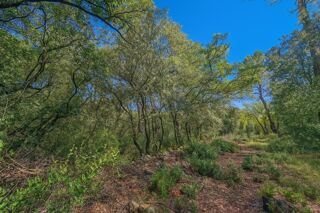  Terrain � vendre 8429 m�