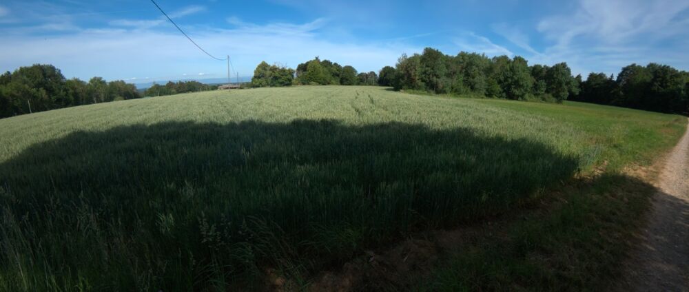 Vente Terrain ?A vendre - Roybon (38940) – 3 parcelles de terrain agricole avec potentiel de loisirs et d'activités nature Roybon