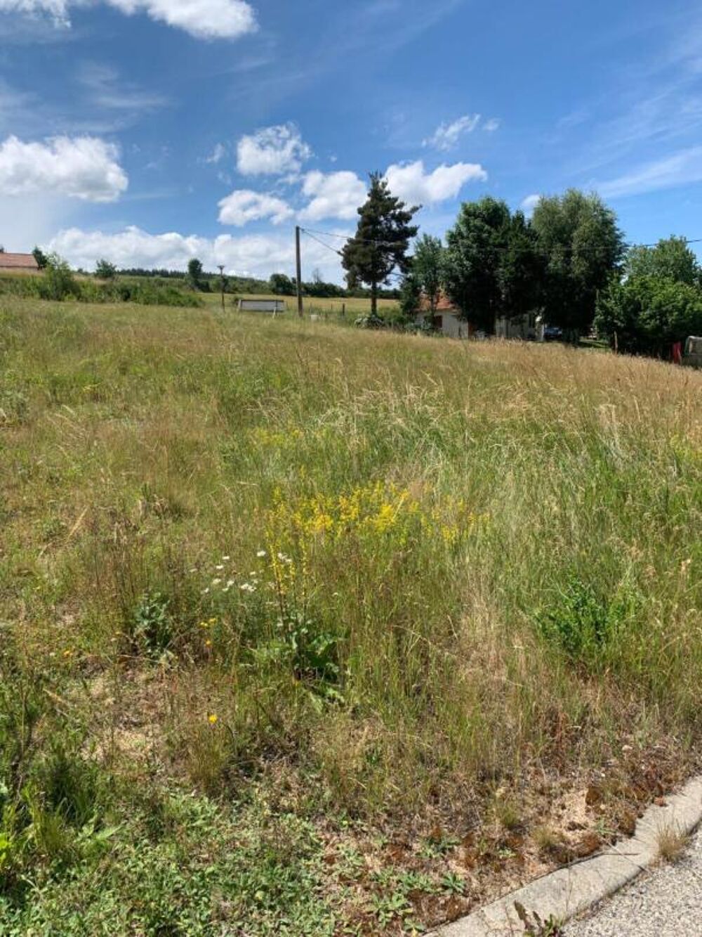 Vente Terrain Terrain viabilisé  Langogne 807 m2 Langogne