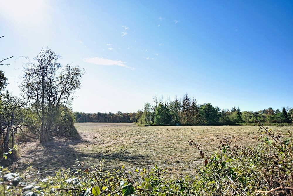 Vente Maison Maison de 230 m2 sur 763 m2 de parcelle à AUXY (71) Auxy
