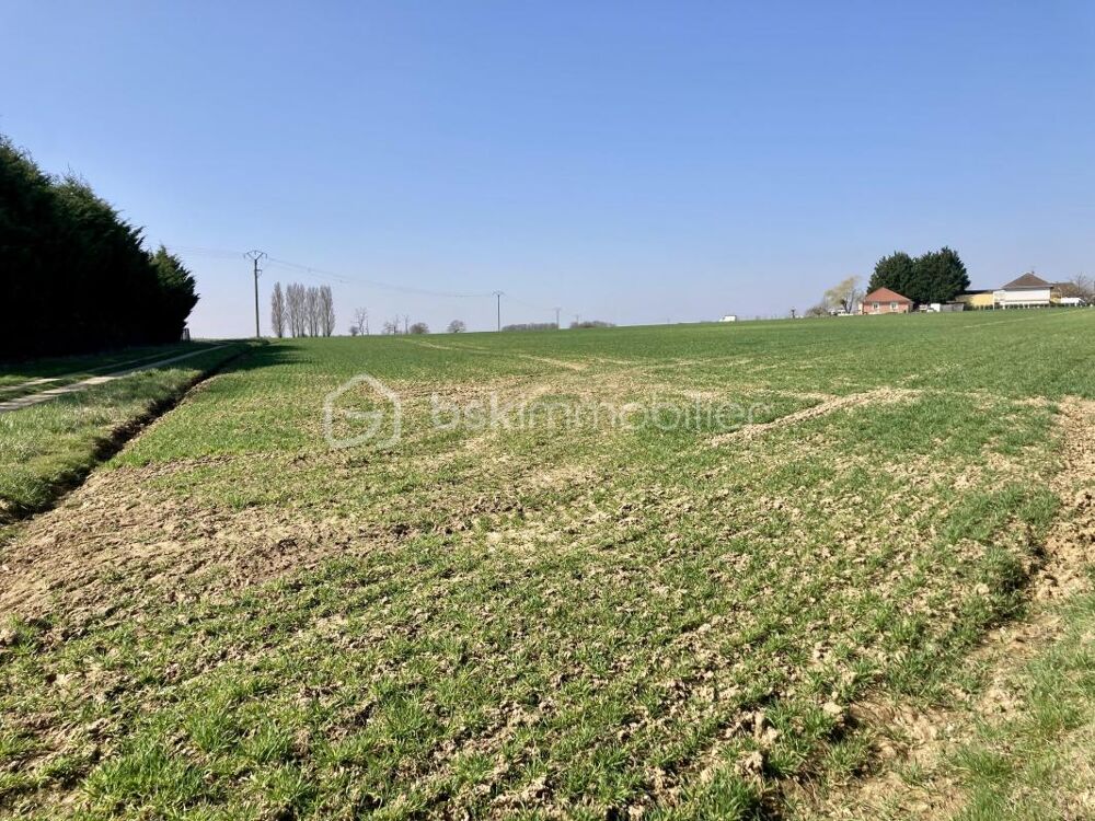 Vente Terrain terrain 1017m² constructible - au pied de la digue de Giffaumont Giffaumont champaubert