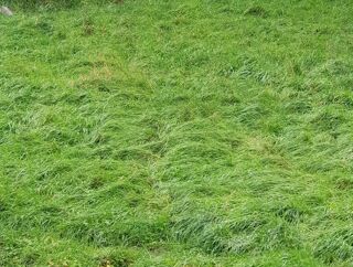  Terrain � vendre 87608 m�