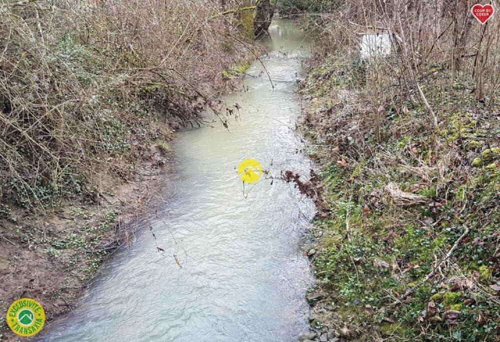 Vente Terrain TEL ROBINSON CRUSOÉ Germigny l exempt