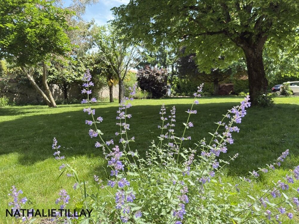  vendre  Maison La Chapelle-Saint-Mesmin (45380)