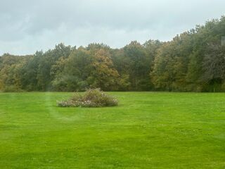  Propriété/château à vendre 8 pièces 320 m²