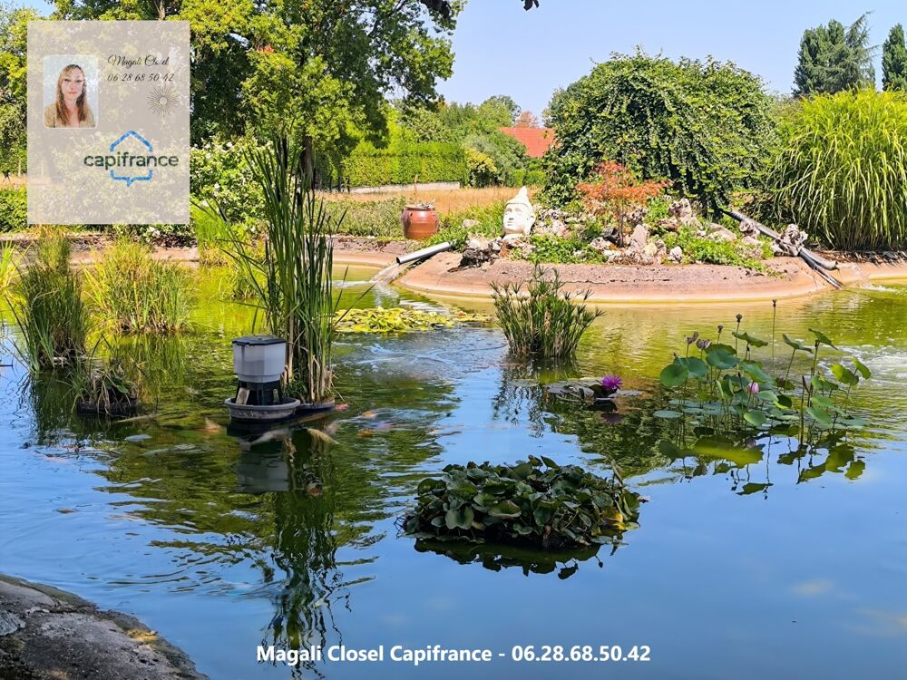Vente Maison Maison à vendre 8 pièces avec Bassin et piscine. Pierre de Bresse Pierre de bresse