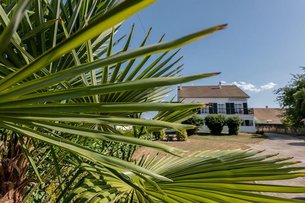 LIEUX UNIQUES ® x PROPRIÉTÉS PRIVÉES PROPOSE MAISON DE 187 M² SUR UN TERRAIN DE 1295 M² À CELLETTES (41)