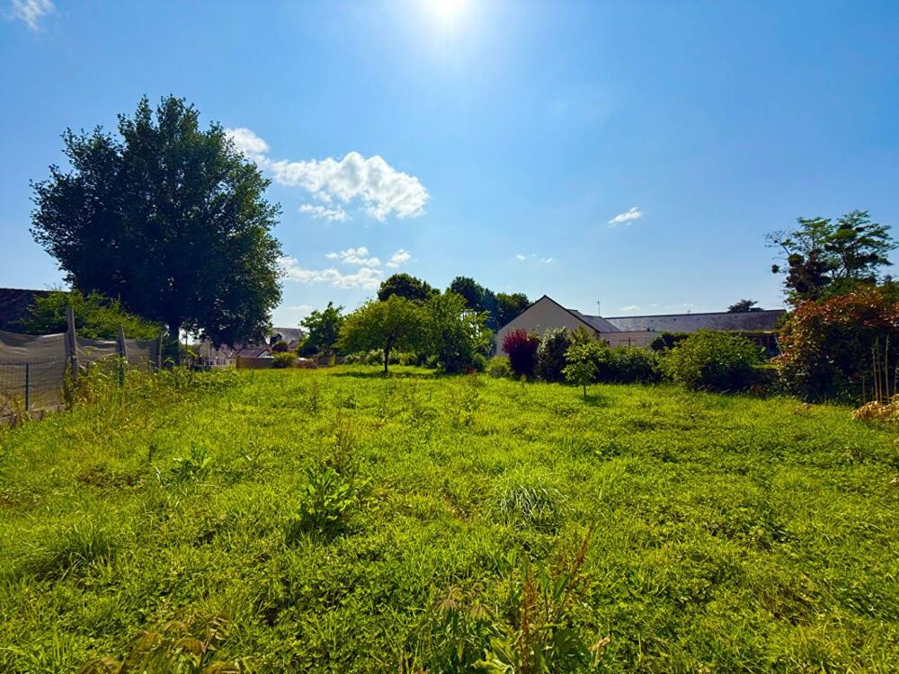 Vente Terrain Terrain Champigne 941 m2 Champigne