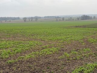  Terrain � vendre 500 m�