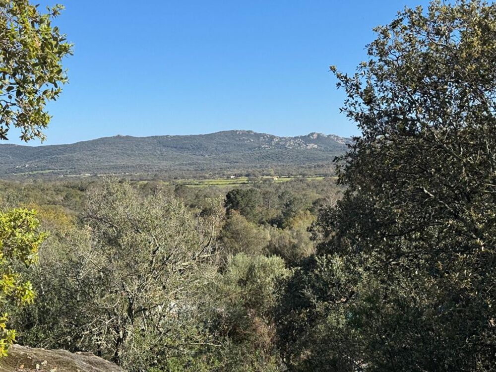 Bergerie d'exception au coeur du maquis ? Porto-Vecchio