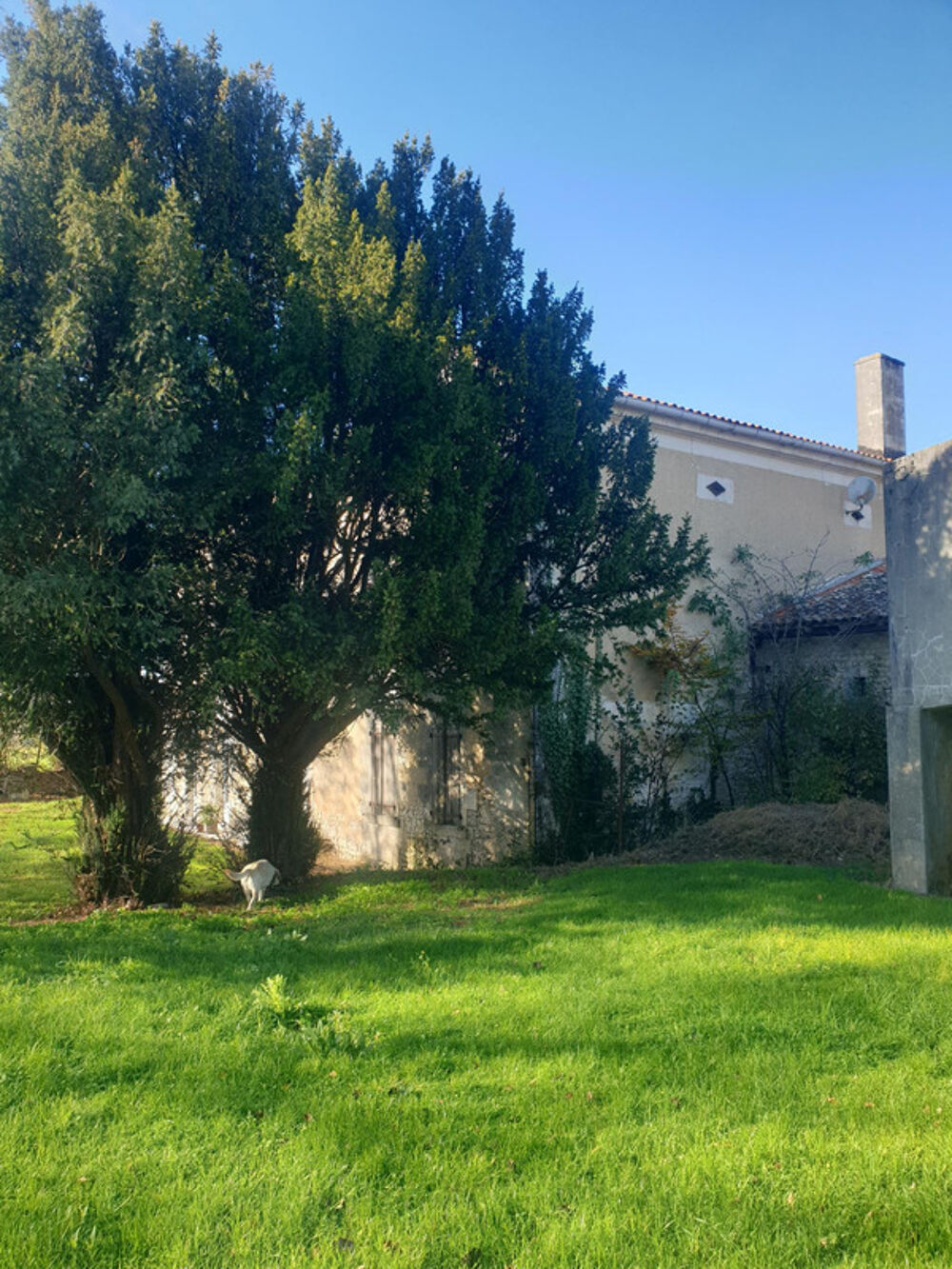 Maison de 400 m² habitables à vendre, proche Barbezieux (16), dépendances denviron 1 000 m², terrain de 12 000 m² !!!