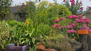  Maison � vendre 7 pi�ces 106 m�