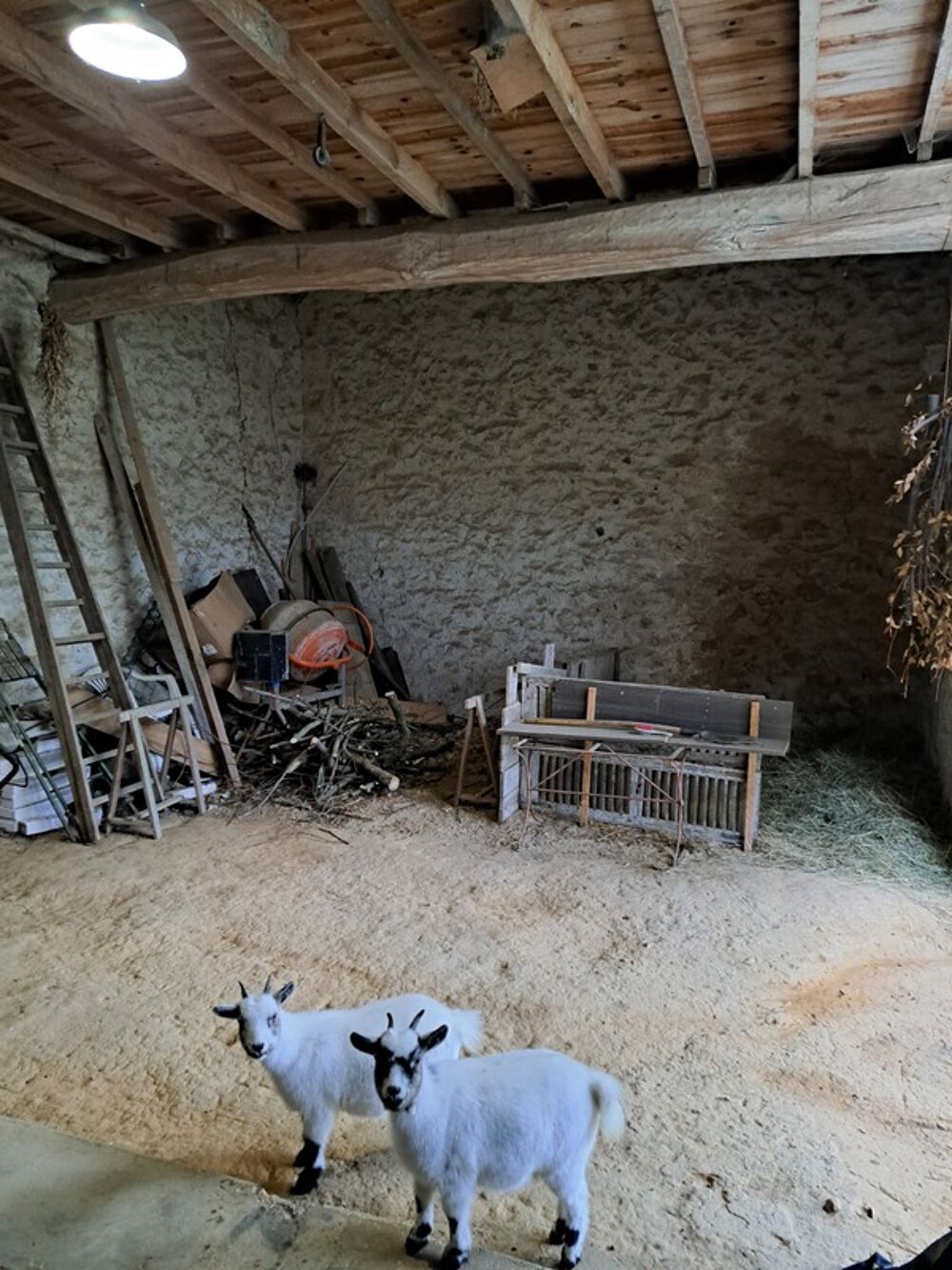 Vente Maison Dans joli village du 77 à 12 mn de Montereau Fault Yonne 77130 La brosse montceaux