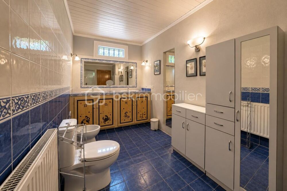 à vendre  Propriété/château Pelleport (31480)