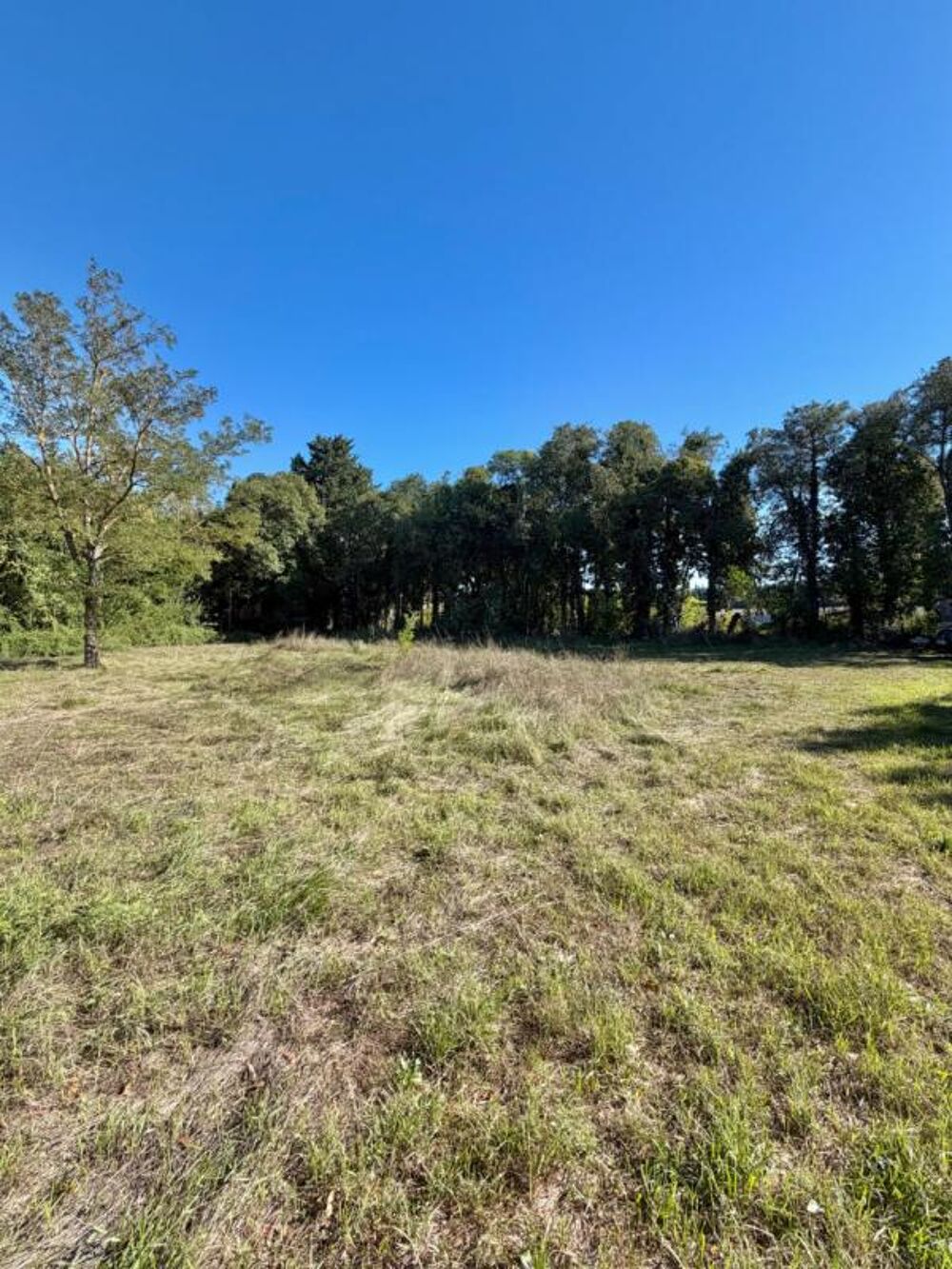 Vente Terrain Terrain constructible de 1 186 m² aux portes des Alpilles Molleges